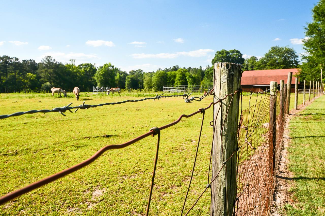 Dublin Farm Bed & Breakfast Bagian luar foto