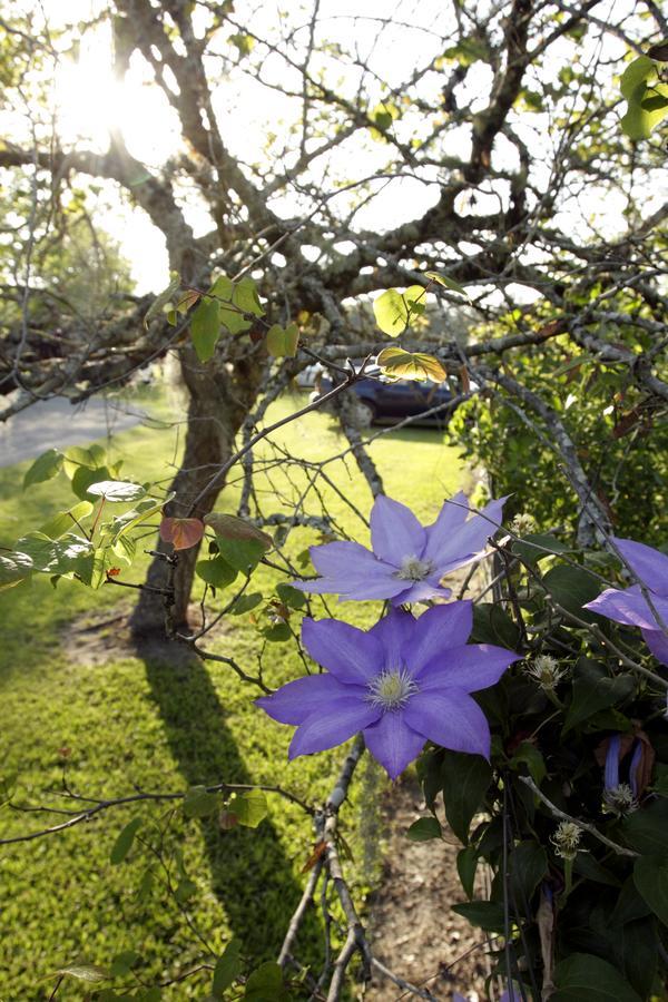 Dublin Farm Bed & Breakfast Bagian luar foto