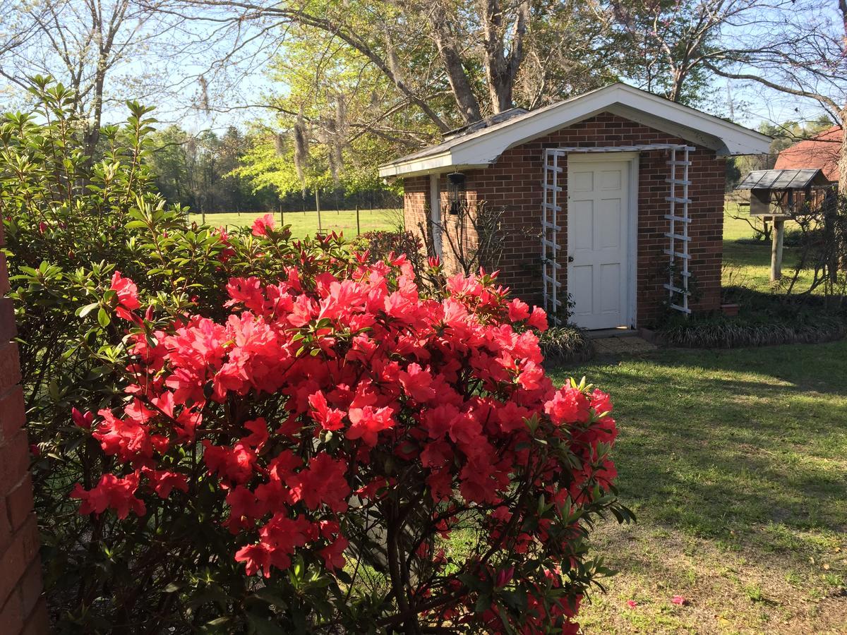 Dublin Farm Bed & Breakfast Bagian luar foto