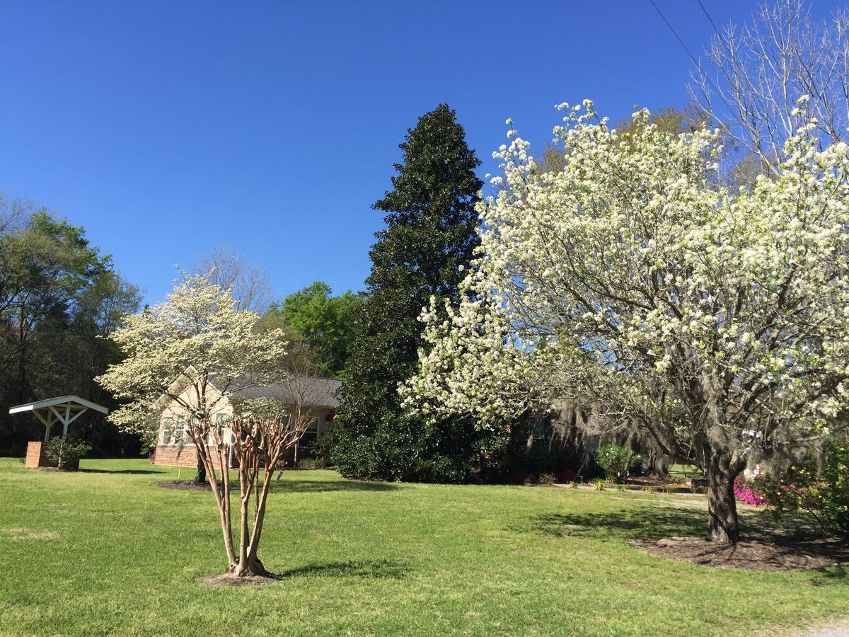 Dublin Farm Bed & Breakfast Bagian luar foto