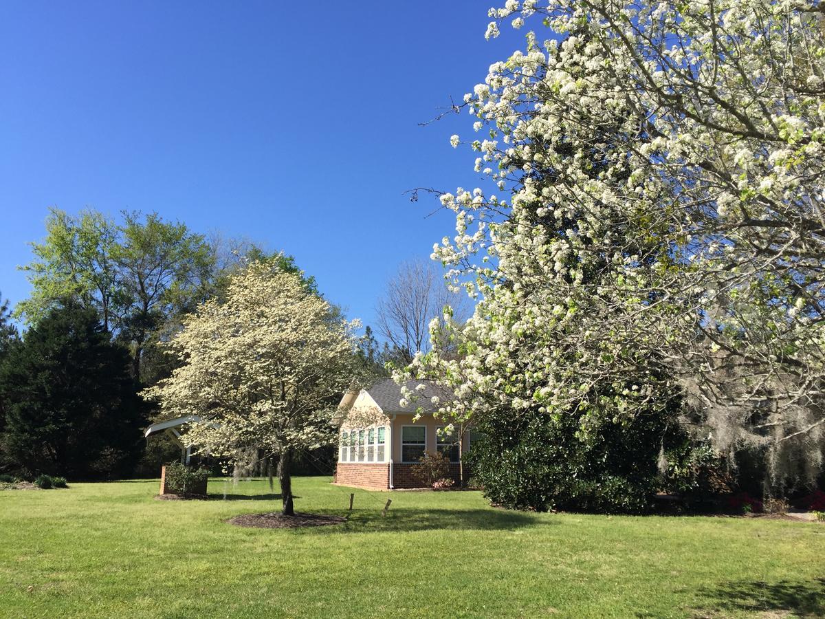 Dublin Farm Bed & Breakfast Bagian luar foto