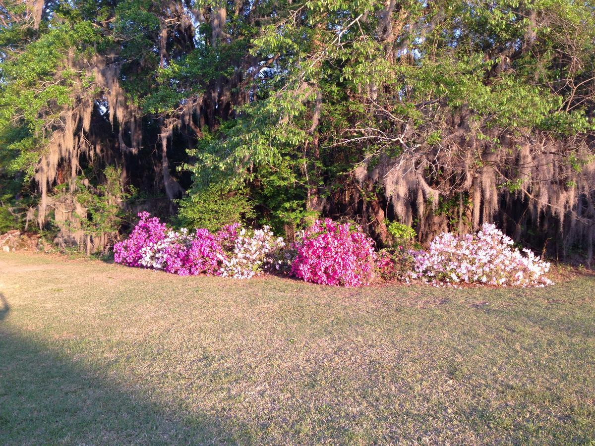 Dublin Farm Bed & Breakfast Bagian luar foto