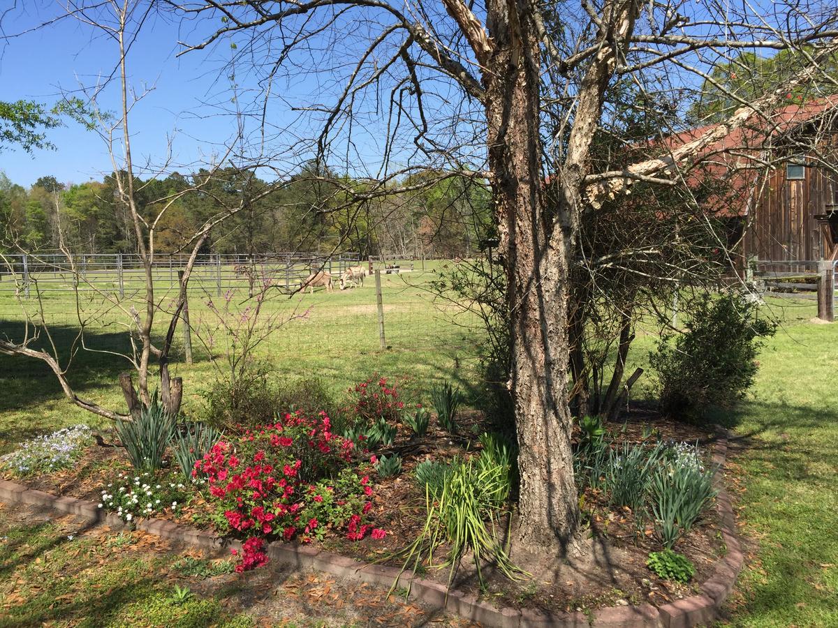 Dublin Farm Bed & Breakfast Bagian luar foto
