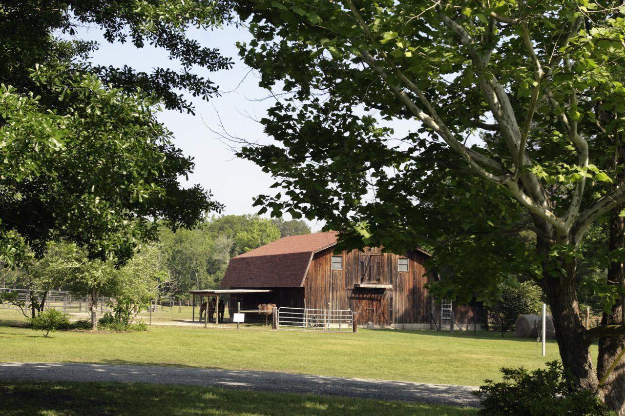 Dublin Farm Bed & Breakfast Bagian luar foto