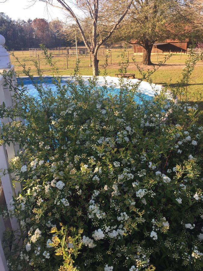 Dublin Farm Bed & Breakfast Bagian luar foto