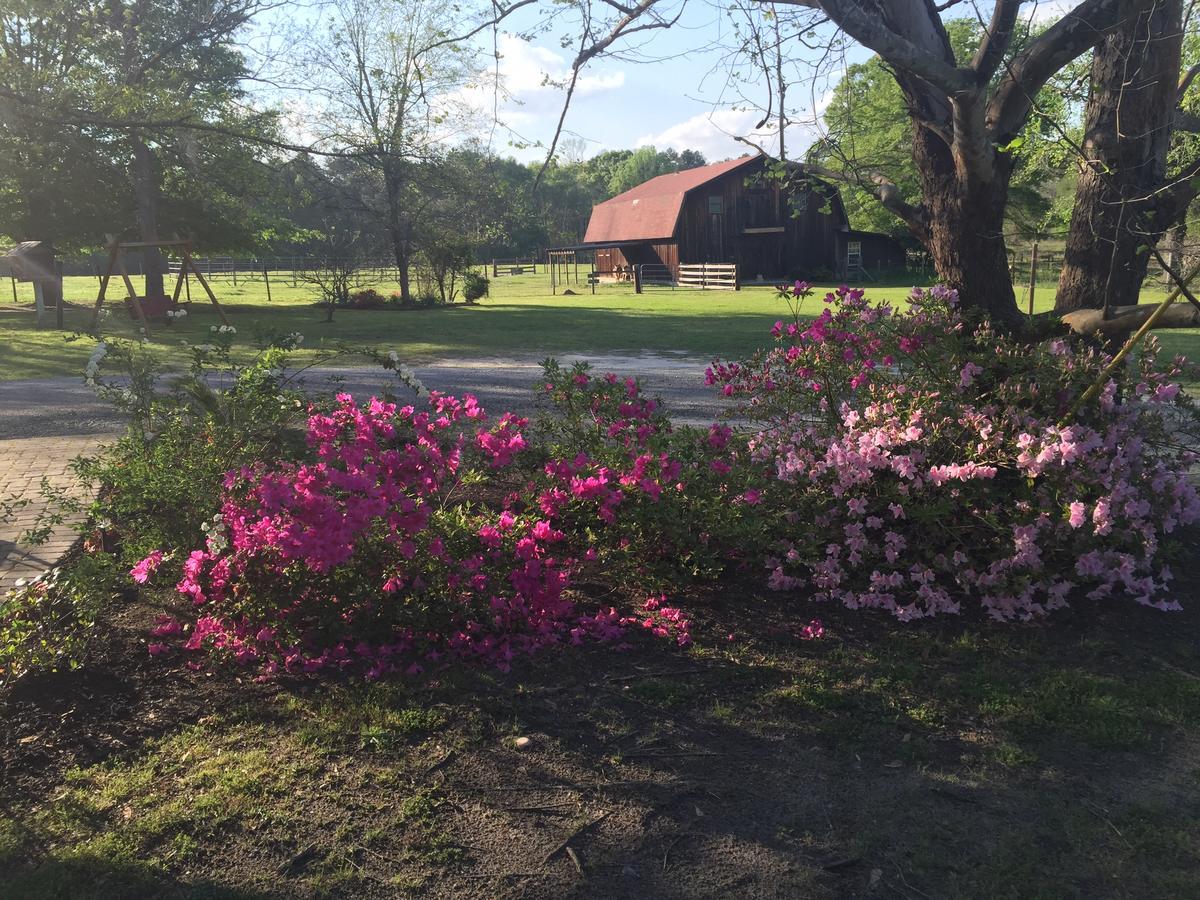 Dublin Farm Bed & Breakfast Bagian luar foto
