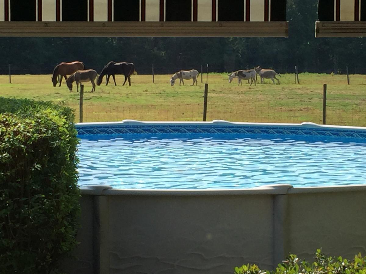 Dublin Farm Bed & Breakfast Bagian luar foto